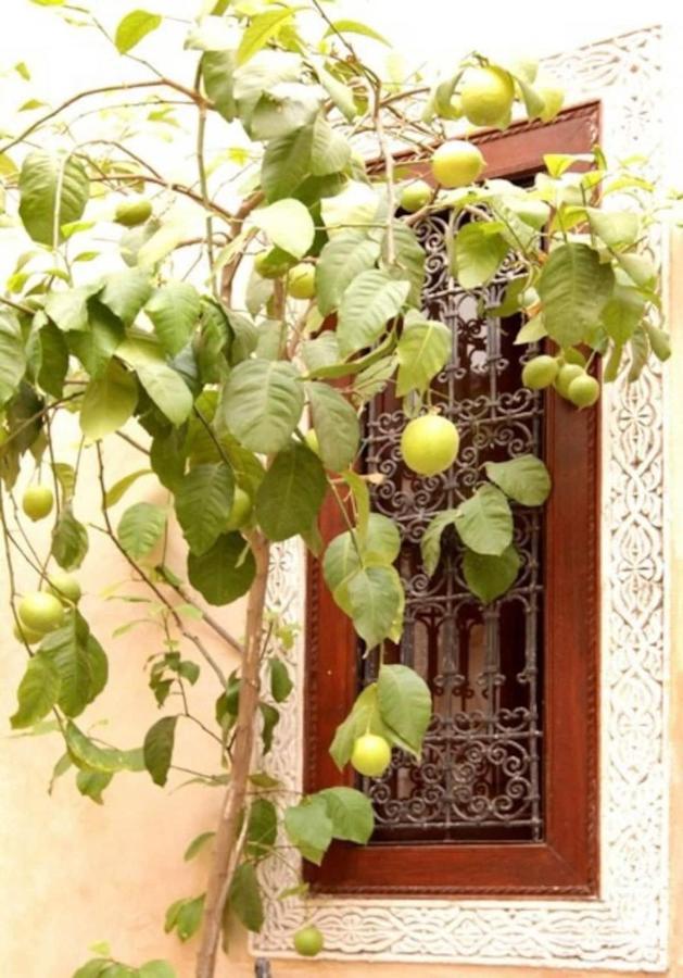 Riad Dar Rania Marrakech Medina Jemaa El Fna Marrakesh Esterno foto